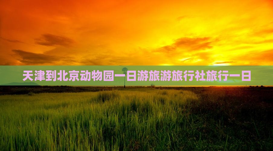 天津到北京动物园旅行社