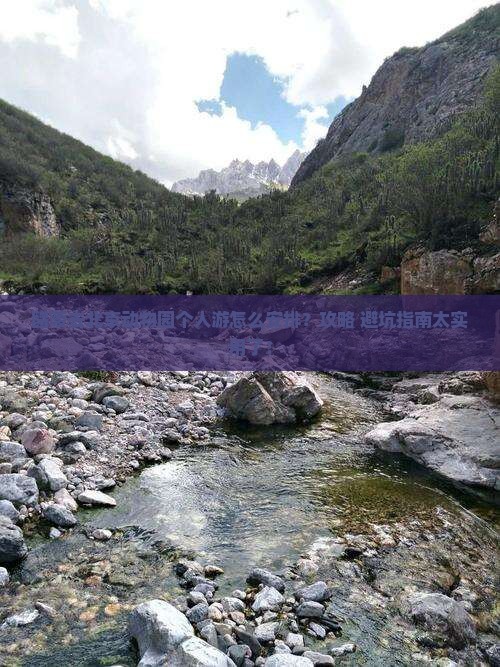 醴陵去北京动物园个人游