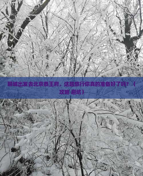 聊城去北京恭王府旅行社