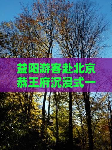 益阳游客赴北京恭王府沉浸式一日游探险