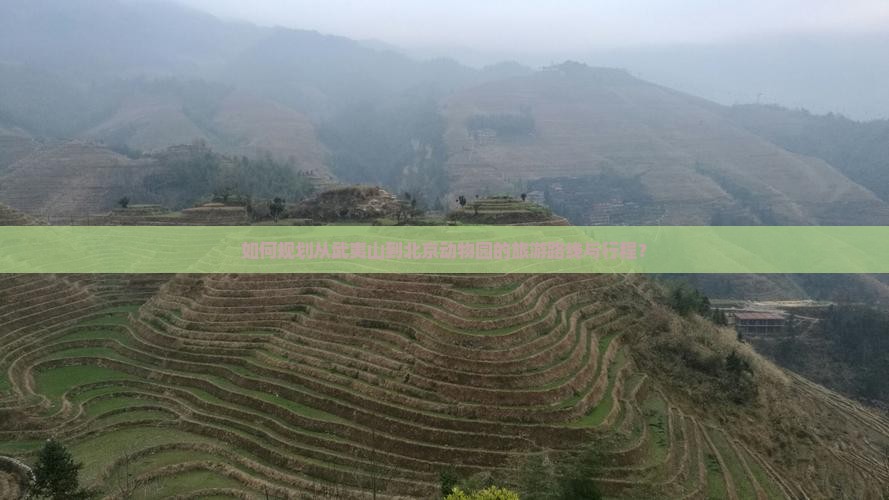 如何规划从武夷山到北京动物园的旅游路线与行程？