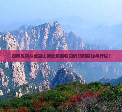 如何规划从武夷山到北京动物园的旅游路线与行程？