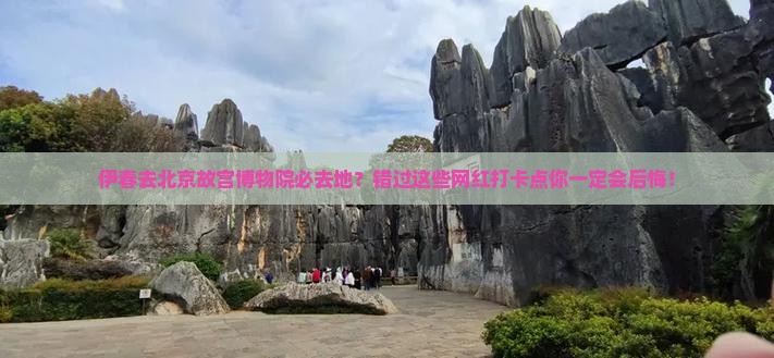 伊春去北京故宫博物院必去地？错过这些网红打卡点你一定会后悔！