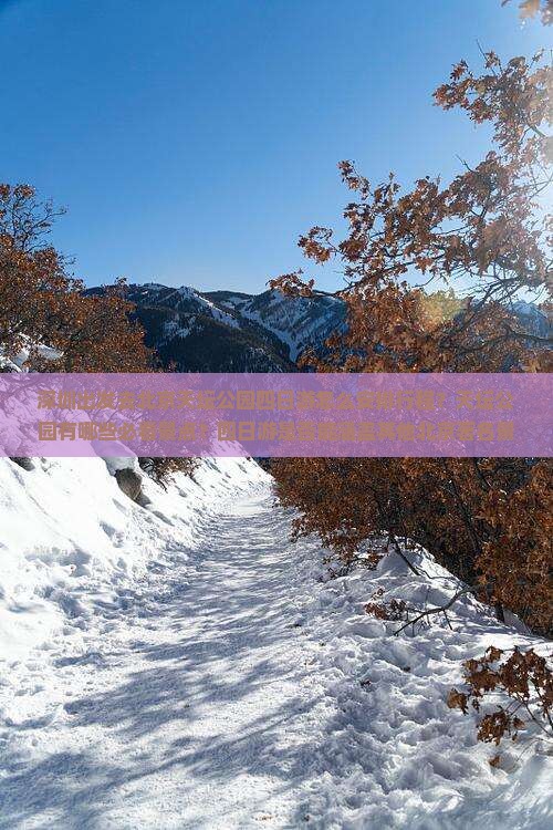 深圳出发去北京天坛公园四日游怎么安排行程？天坛公园有哪些必看景点？四日游是否能涵盖其他北京著名景点？