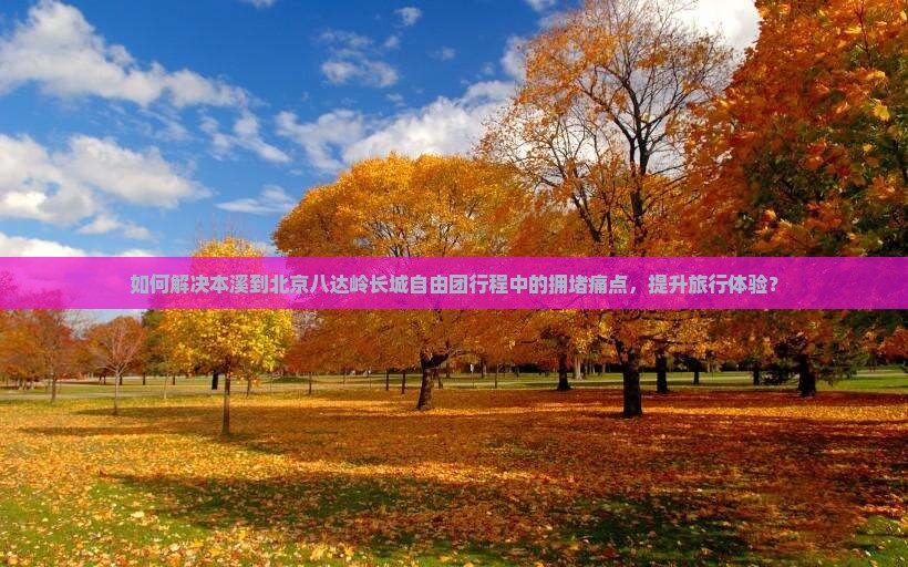 如何解决本溪到北京八达岭长城自由团行程中的拥堵痛点，提升旅行体验？