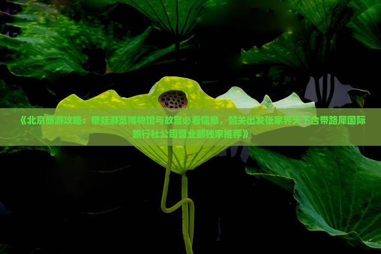 《北京旅游攻略：带娃游览博物馆与故宫必看信息，韶关出发张家界天下合带路犀国际旅行社公司营业部独家推荐》