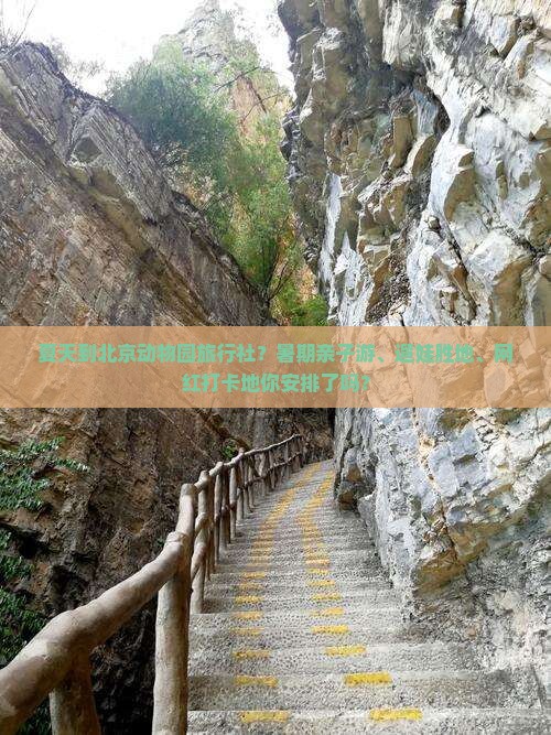夏天到北京动物园旅行社？暑期亲子游、遛娃胜地、网红打卡地你安排了吗？