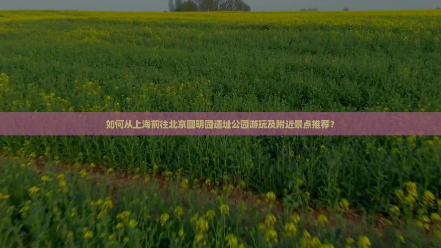 如何从上海前往北京圆明园遗址公园游玩及附近景点推荐？