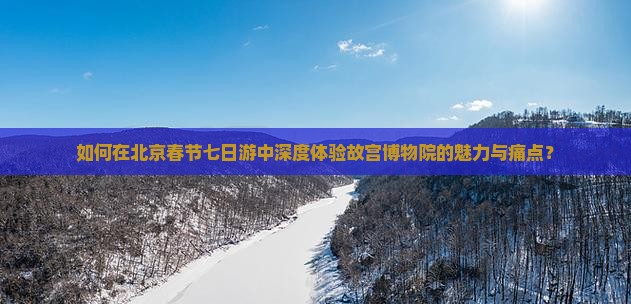 如何在北京春节七日游中深度体验故宫博物院的魅力与痛点？