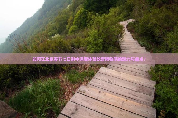 如何在北京春节七日游中深度体验故宫博物院的魅力与痛点？