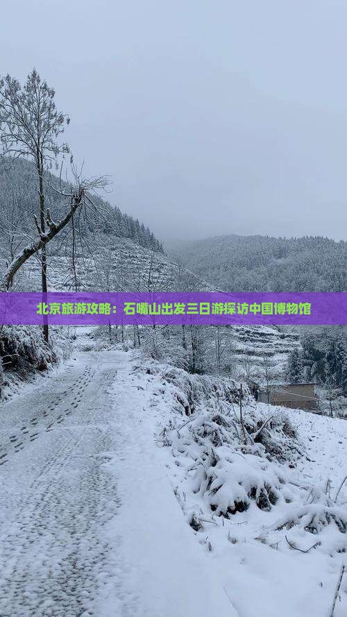 北京旅游攻略：石嘴山出发三日游探访中国博物馆
