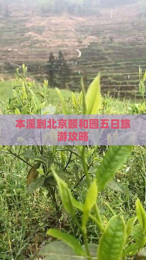 本溪到北京颐和园五日旅游攻略