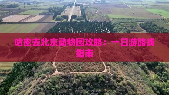 哈密去北京动物园攻略：一日游路线指南