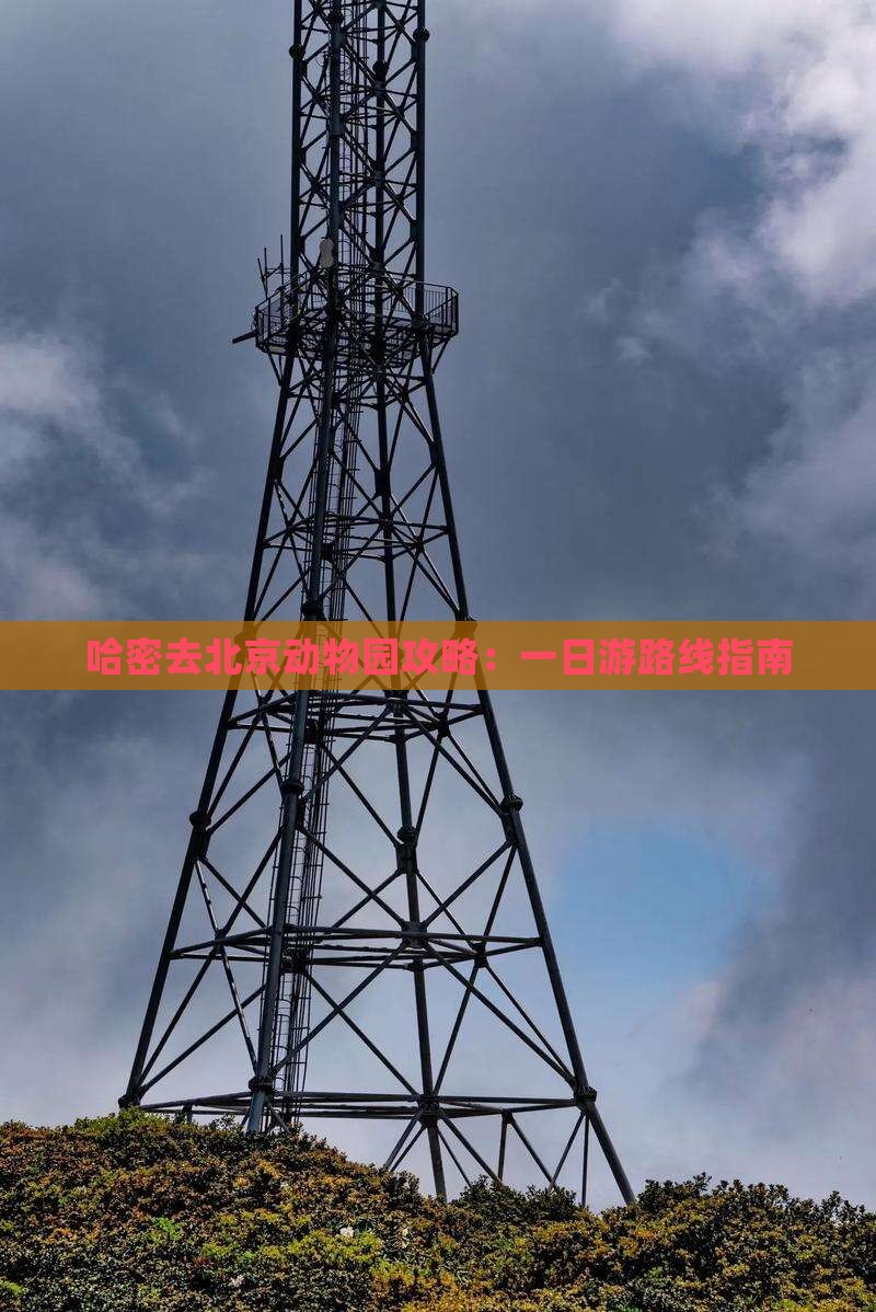 哈密去北京动物园攻略：一日游路线指南