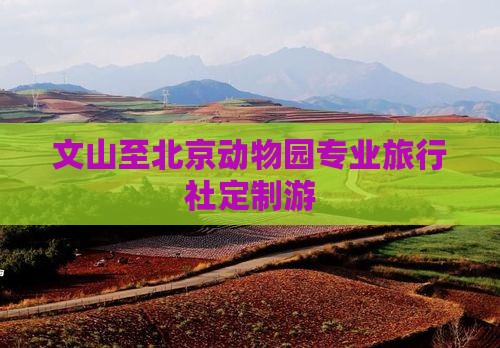 文山至北京动物园专业旅行社定制游