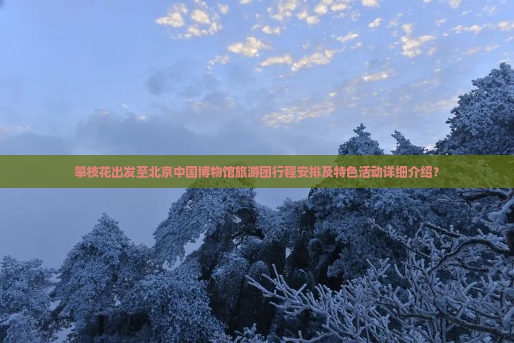 攀枝花出发至北京中国博物馆旅游团行程安排及特色活动详细介绍？