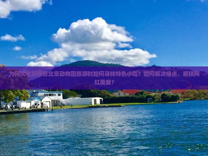 为何大丰游客在北京动物园旅游时如何寻找特色小吃？如何解决痛点，解锁网红美食？