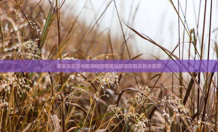 果洛去北京中国博物馆哪里玩旅游攻略及景点推荐
