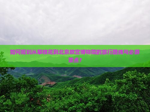 如何规划从攀枝花到北京故宫博物院的旅行路线与必游景点？