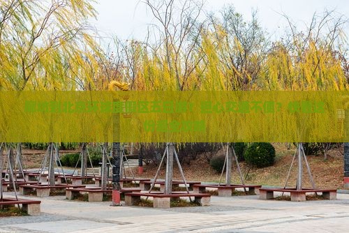 廊坊到北京环球度假区五日游？担心交通不便？快看这份超全攻略