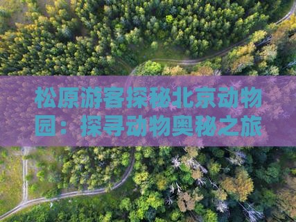松原游客探秘北京动物园：探寻动物奥秘之旅