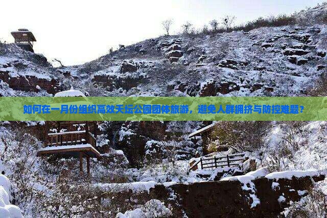 如何在一月份组织高效天坛公园团体旅游，避免人群拥挤与防控难题？