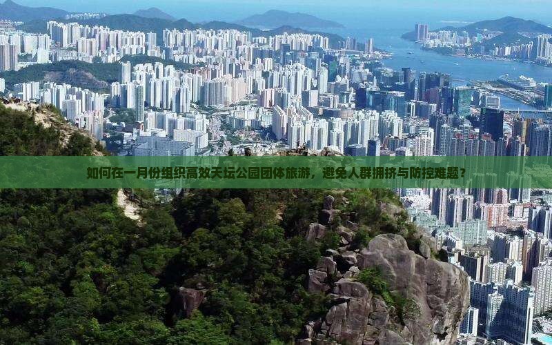 如何在一月份组织高效天坛公园团体旅游，避免人群拥挤与防控难题？