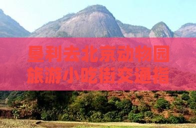 垦利去北京动物园旅游小吃街交通指南