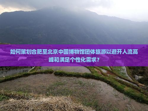 如何策划合肥至北京中国博物馆团体旅游以避开人流高峰和满足个性化需求？
