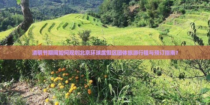 清明节期间如何规划北京环球度假区团体旅游行程与预订指南？