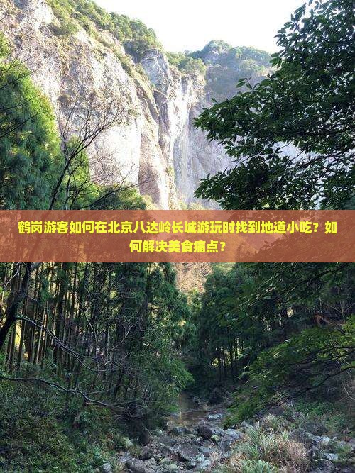 鹤岗游客如何在北京八达岭长城游玩时找到地道小吃？如何解决美食痛点？