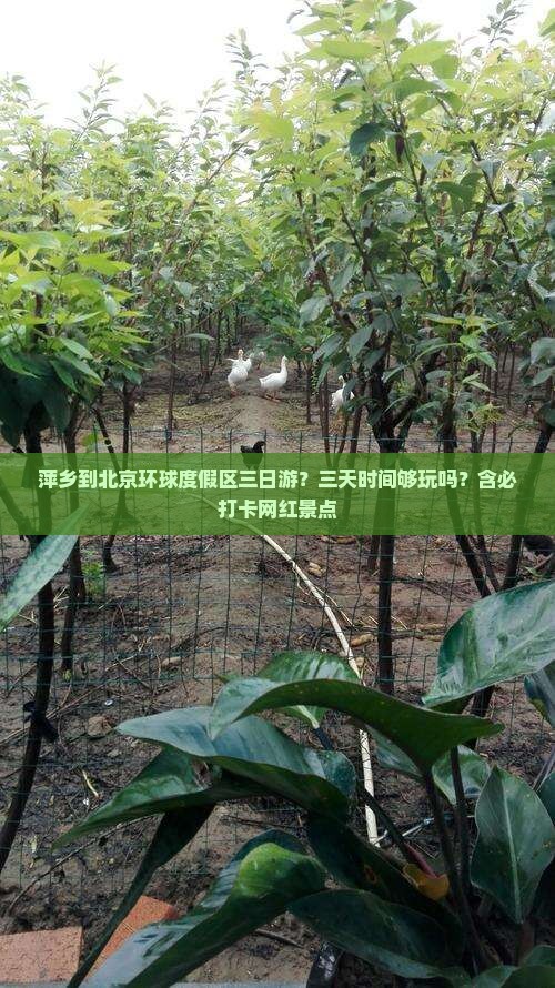 萍乡到北京环球度假区三日游？三天时间够玩吗？含必打卡网红景点