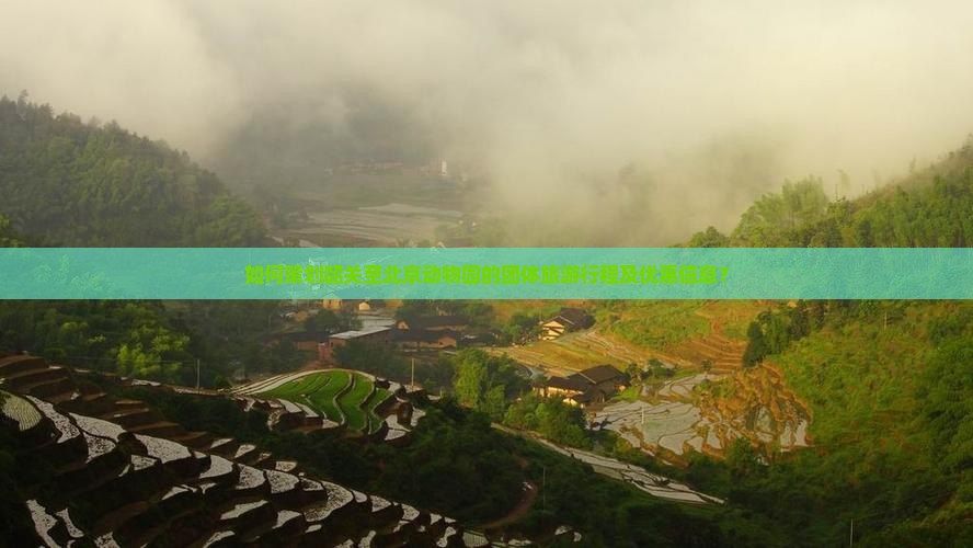 如何策划韶关至北京动物园的团体旅游行程及优惠信息？