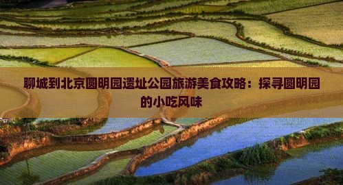 聊城到北京圆明园遗址公园旅游美食攻略：探寻圆明园的小吃风味