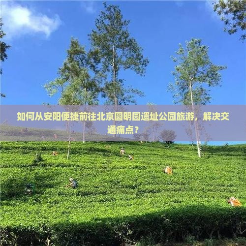 如何从安阳便捷前往北京圆明园遗址公园旅游，解决交通痛点？