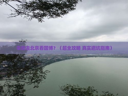 阜新到北京中国国家博物馆旅行社