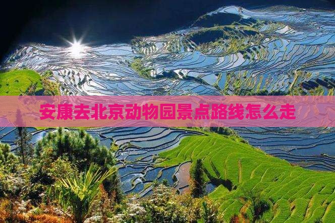 安康去北京动物园景点