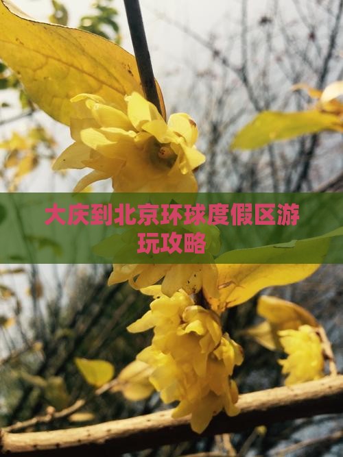大庆到北京环球度假区哪里玩