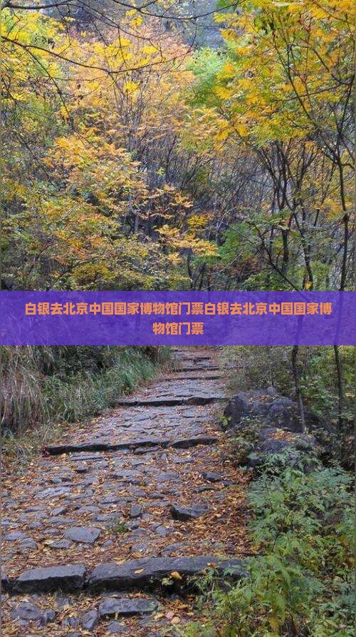 白银去北京中国国家博物馆门票