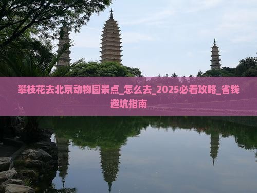 攀枝花去北京动物园景点