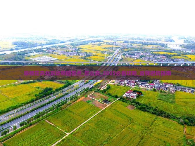 攀枝花去北京动物园景点