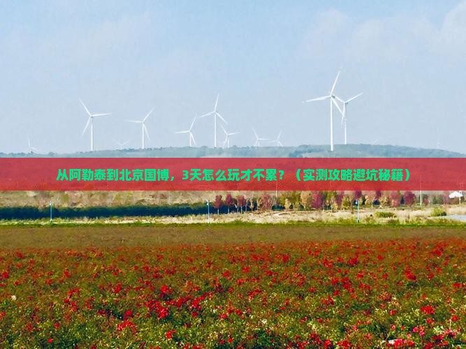 阿勒泰去北京中国国家博物馆自由行