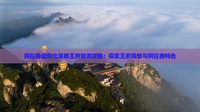 阿拉善盟到北京恭王府自由团