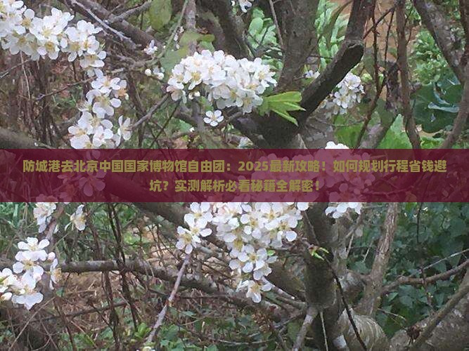 防城港去北京中国国家博物馆自由团