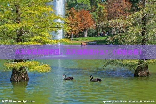 五家渠到北京圆明园遗址公园五日游