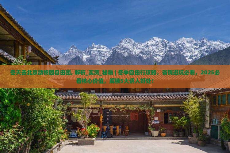 冬天去北京动物园自由团