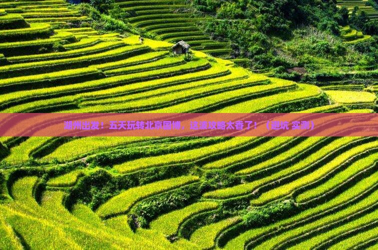 湖州去北京中国国家博物馆五日游