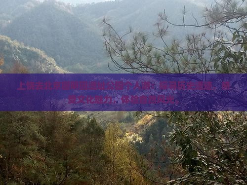 上饶去北京圆明园遗址公园个人游