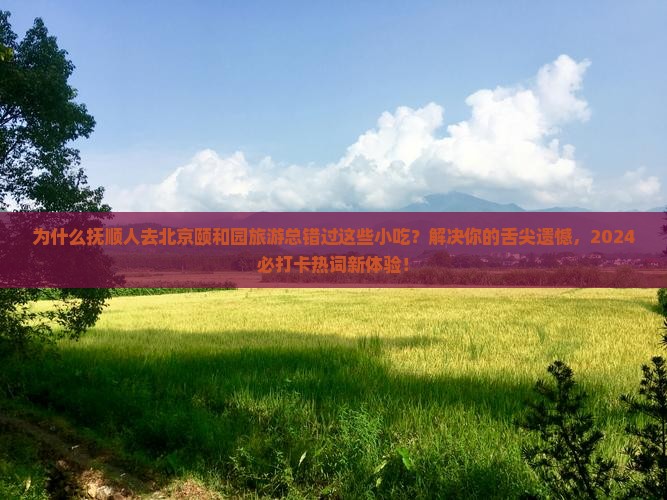 抚顺到北京颐和园旅游小吃