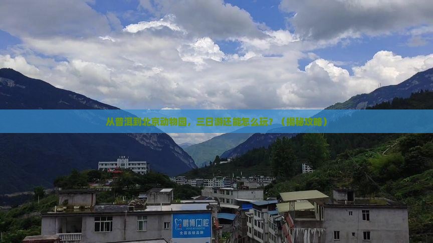 普洱到北京动物园三日游